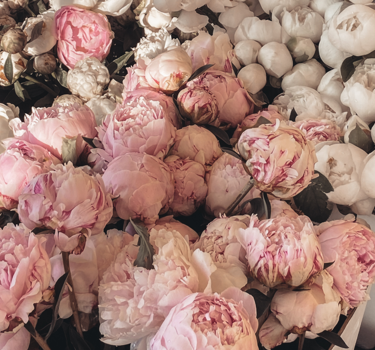 Symbolernes skjulte kraft i film